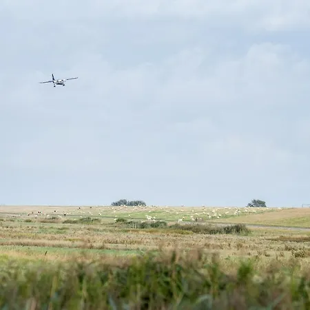 Nyaraló Tiny House Nature 15 Zur Meerseite - Tiny Village Harlesiel *