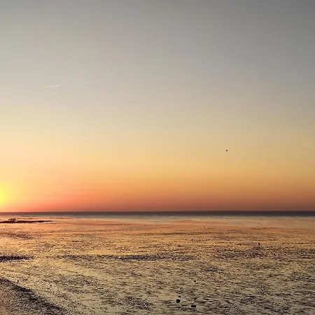 Tiny House Nature 15 Zur Meerseite - Tiny Village Harlesiel *